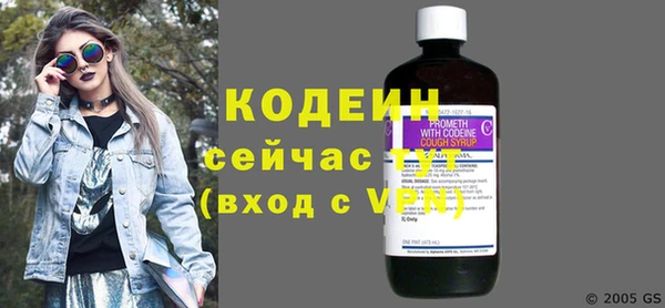 шишки Анжеро-Судженск