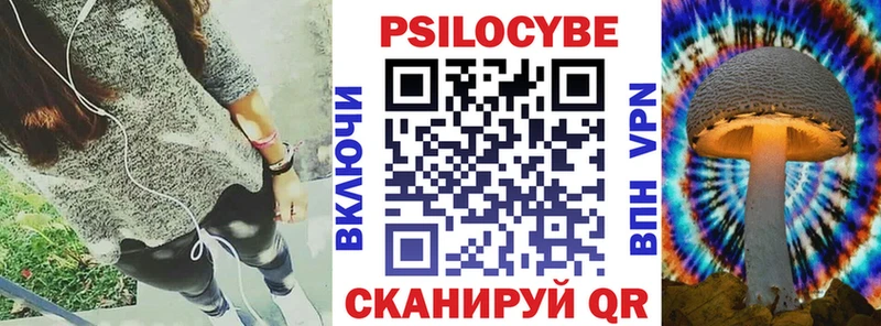 Купить где Ветлуга Псилоцибиновые грибы Cubensis
